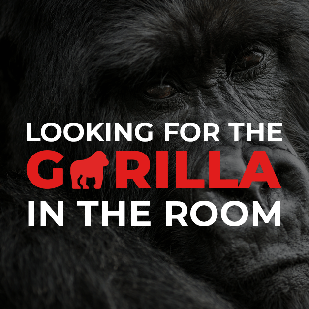 Looking for the Gorilla in the Room